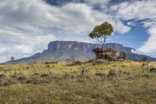 Tablemountain Roraima with clouds, Venezuela, Latin America.

