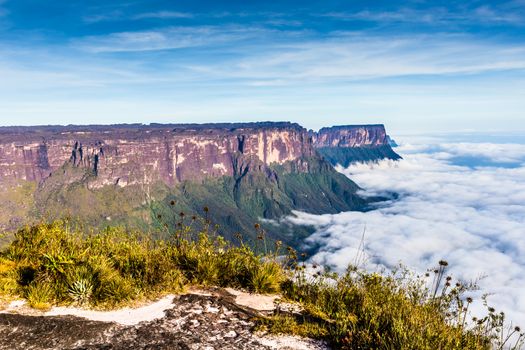 View from the Roraima tepui on Kukenan tepui at the fog - Venezuela, Latin America 