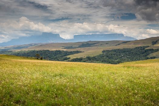 View to Mount Roraima - Venezuela, South America 