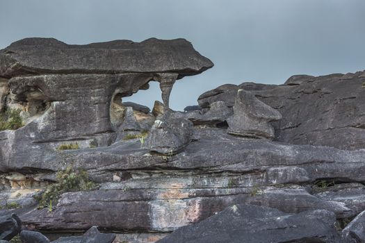 Bizarre ancient rocks of the plateau Roraima tepui - Venezuela, Latin America