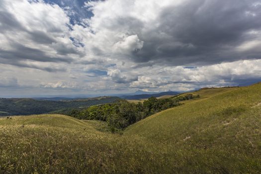 Beautiful landscape characteristic for the Gran Sabana - Venezuela, Latin America

