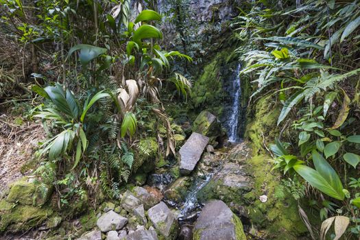 Stream from Mount Roraima in Venezuela

