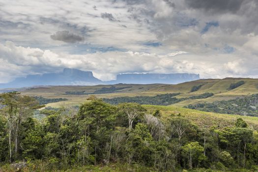 Beautiful landscape characteristic for the Gran Sabana - Venezuela, Latin America

