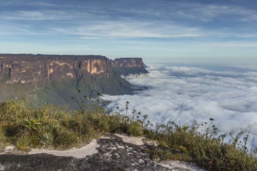 View from the Roraima tepui on Kukenan tepui at the mist - Venezuela, South America