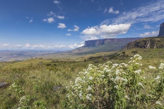 Tablemountain Roraima with clouds, Venezuela, Latin America.

