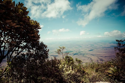 The view from the plateau of Roraima on the Grand Sabana - Venezuela, Latin America 