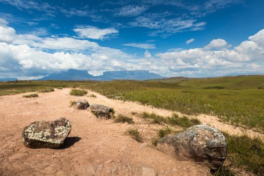 Track to Mount Roraima - Venezuela, South America 