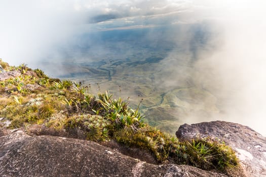 The view from the plateau of Roraima on the Grand Sabana - Venezuela, Latin America 