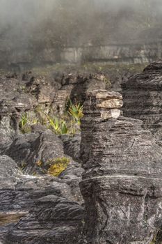 Bizarre ancient rocks of the plateau Roraima tepui - Venezuela, Latin America