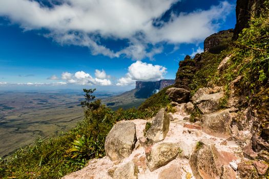 Track to Mount Roraima - Venezuela, South America 