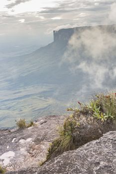 View from the Roraima tepui on Kukenan tepui at the mist - Venezuela, South America