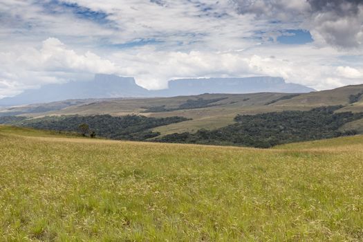 Beautiful landscape characteristic for the Gran Sabana - Venezuela, Latin America

