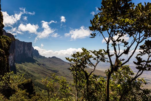 View from the plateau Roraima to Gran Sabana region - Venezuela, South America 