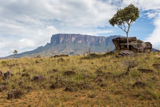 Track to Mount Roraima - Venezuela, South America 