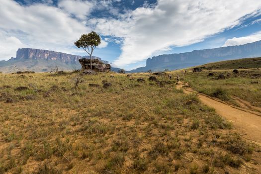 Track to Mount Roraima - Venezuela, South America 