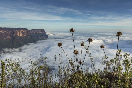 View from the Roraima tepui on Kukenan tepui at the mist - Venezuela, South America