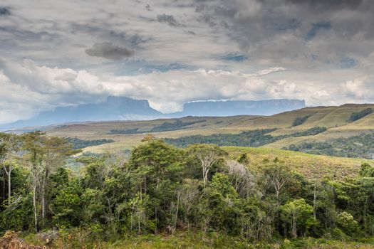 View to Mount Roraima - Venezuela, South America 