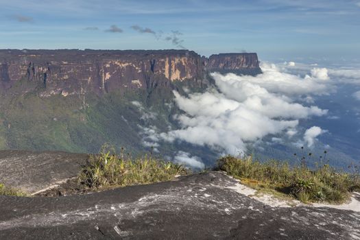 View from the Roraima tepui on Kukenan tepui at the mist - Venezuela, South America