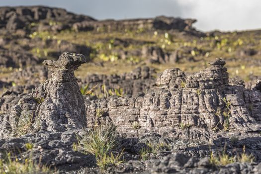 Bizarre ancient rocks of the plateau Roraima tepui - Venezuela, Latin America