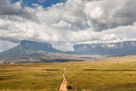 Track to Mount Roraima - Venezuela, South America 