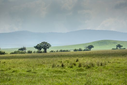 View over Ngorongoro Crater, Tanzania, East Africa (UNESCO World Heritage Site)