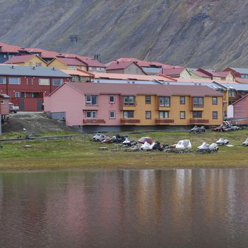 Idyllic scenic view, colorful houses and green field with arctic flowers against the background of dramatic sky and barren mountain in Longyearbyen, Spitsbergen archipelago (Svalbard), Norway, Europe




