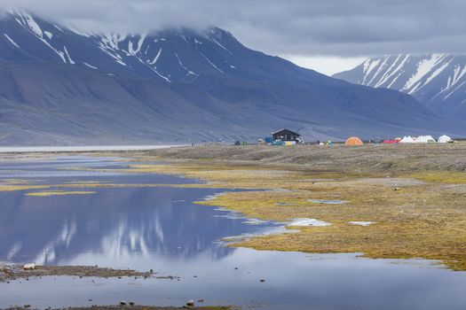 Arctic tundra in summer, Svalbard, Norway

