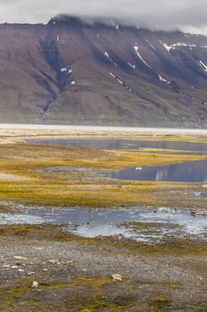 Beautiful scenic view of Spitsbergen (Svalbard island), Norway 