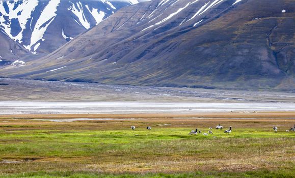 Beautiful scenic view of Spitsbergen (Svalbard island), Norway 