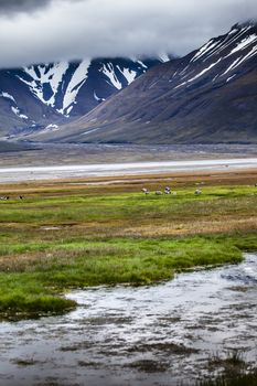 Beautiful scenic view of Spitsbergen (Svalbard island), Norway 