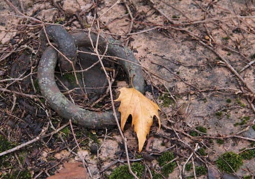 Autumn still life tombstone handle.