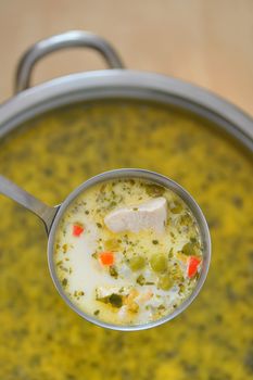 Chicken soup with vegetables and soup ladle 