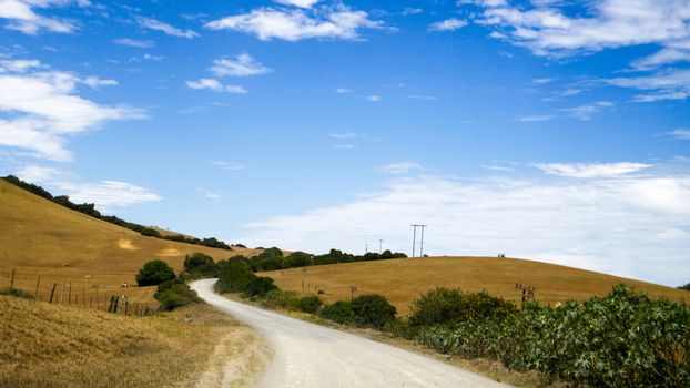 Dusty road leading to the fields of green grass with a few clouds in the sky.