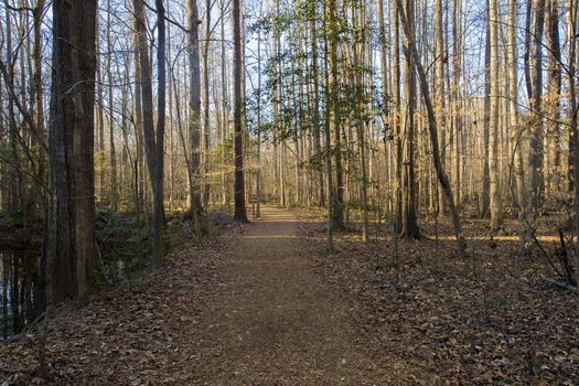Paved trails during early spring