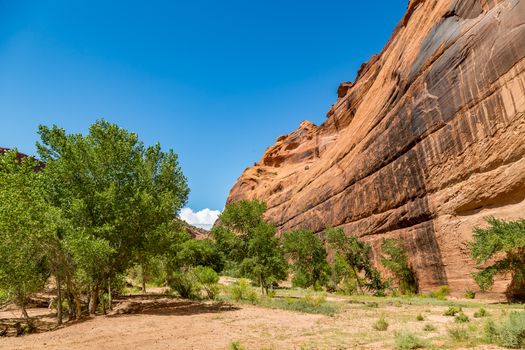 The Canyon de Chelly National Monument consists of many well-preserved Anasazi ruins and spectacular sheer red cliffs that rise up to 1000 feet.