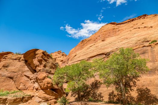 The Canyon de Chelly National Monument consists of many well-preserved Anasazi ruins and spectacular sheer red cliffs that rise up to 1000 feet.