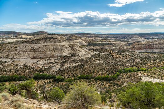 From a stretch of Scenic Route 12 known as "The Hogback," tree lined Boulder Creek meanders past Durffey Mesa in the Grand Staircase - Escalante National Monument in Utah.
