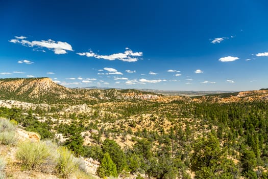 Bryce Canyon National Park, a sprawling reserve in southern Utah, is known for crimson-colored hoodoos, which are spire-shaped rock formations.