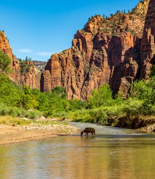 Zion National Park is a southwest Utah nature preserve distinguished by Zion Canyon’s steep red cliffs. Zion Canyon Scenic Drive cuts through its main section, leading to forest trails along the Virgin River.