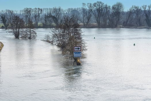 Flooded forest land, flood plain in Muelheim an der Ruhr in Germany.