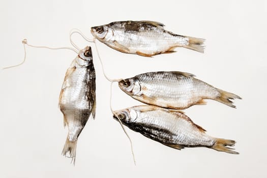 Dried fish on the table. Salty dry river fish on a white background. Dead dry salty fish - snack to beer. Isolated on white. .