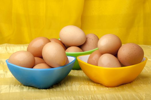 eggs ready to color on yellow background