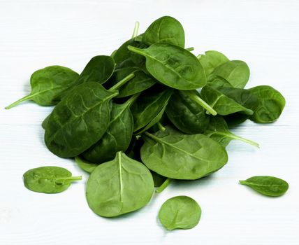 Heap of Small Raw Spinach Leafs closeup on Light Blue Wooden background