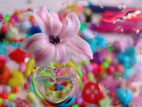 water drops on multicolor background.of glass hearts. flower