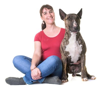 woman bull terrier in front of white background