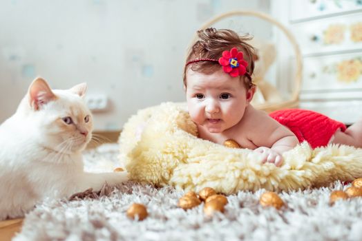 naked baby lying on soft blanket and watching a cat