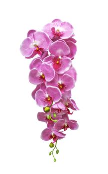 Artificial bouquet pink orchid flower isolated on white background
