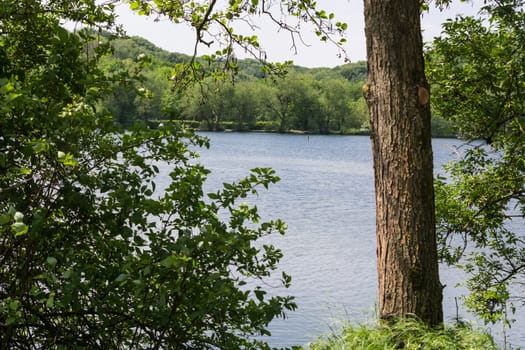 View of the Abtskuecher pond in Heiligenhaus, Germany.