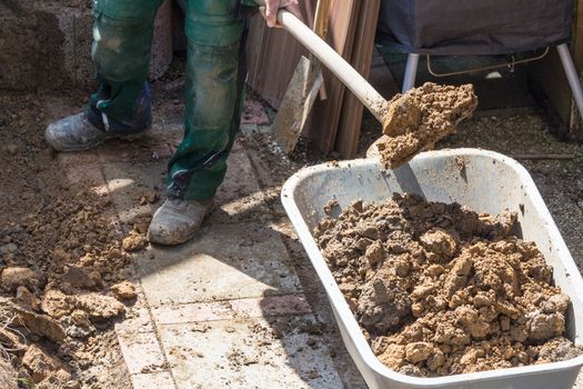 Gardening, loaded a wheelbarrow with earth excavation