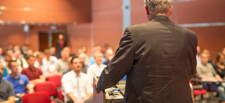 Speaker at Business Conference with Public Presentations. Audience at the conference hall. Entrepreneurship club. Rear view. Horisontal composition. Background blur.